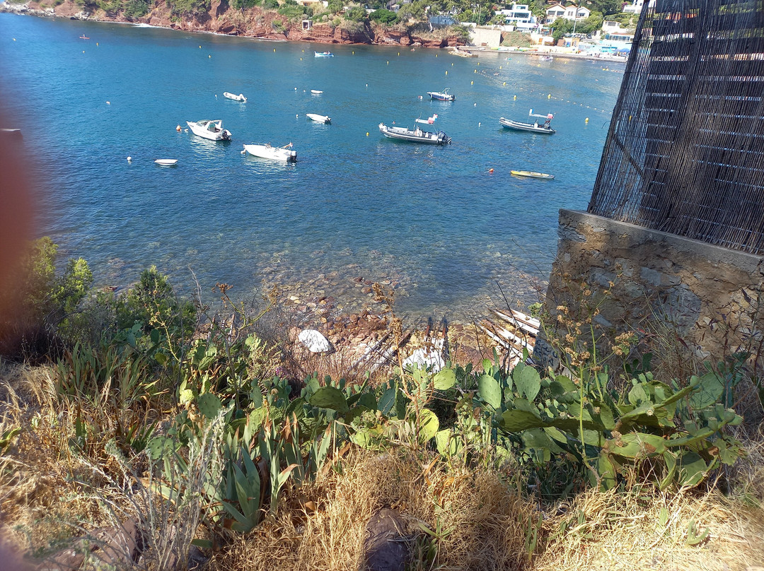 Plage de Fabregas-滨海拉塞纳必去景点