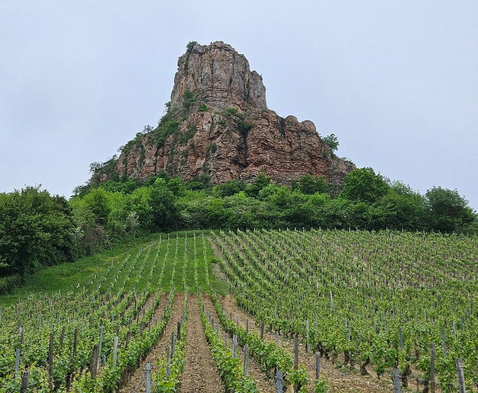 La Roche de Solutre-Solutre-Pouilly必去景点