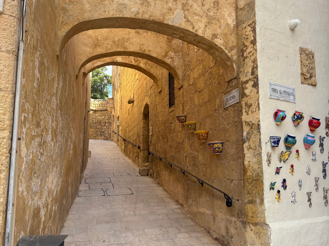 Cittadella Visitors' Centre-Victoria必去景点