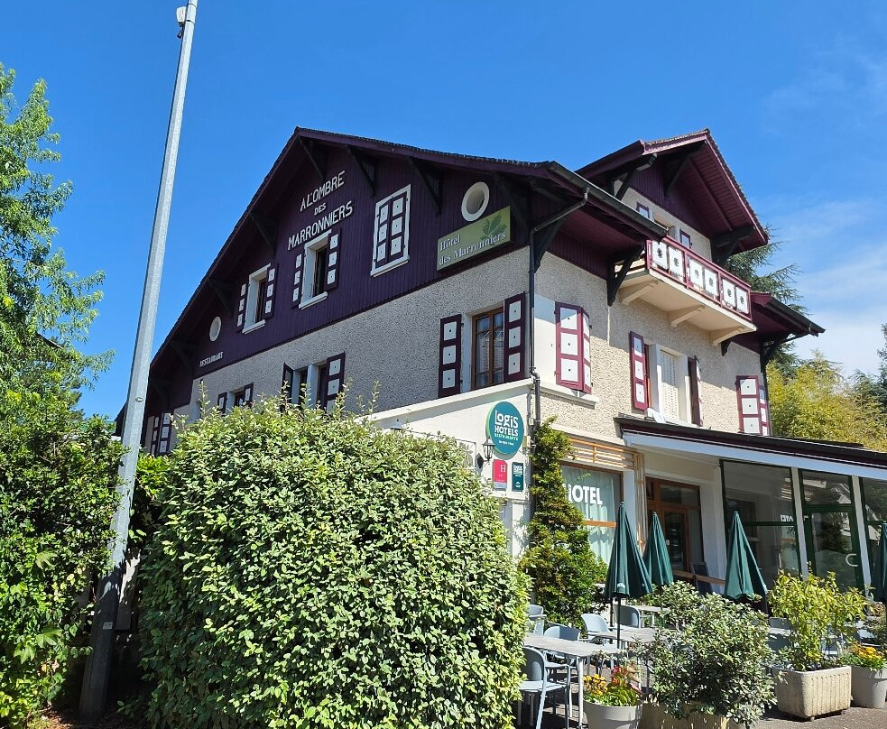 Hotel A l'Ombre des Marronniers主图