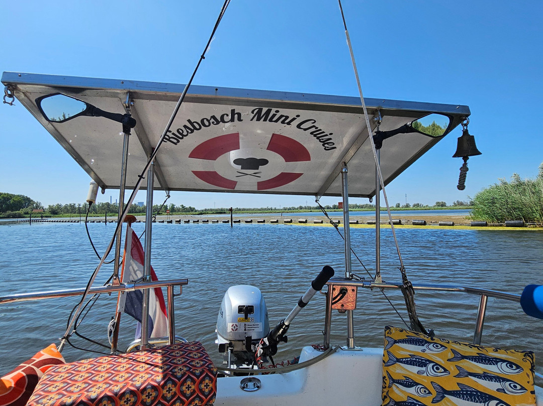 Biesbosch Mini Cruises-Drimmelen必去景点