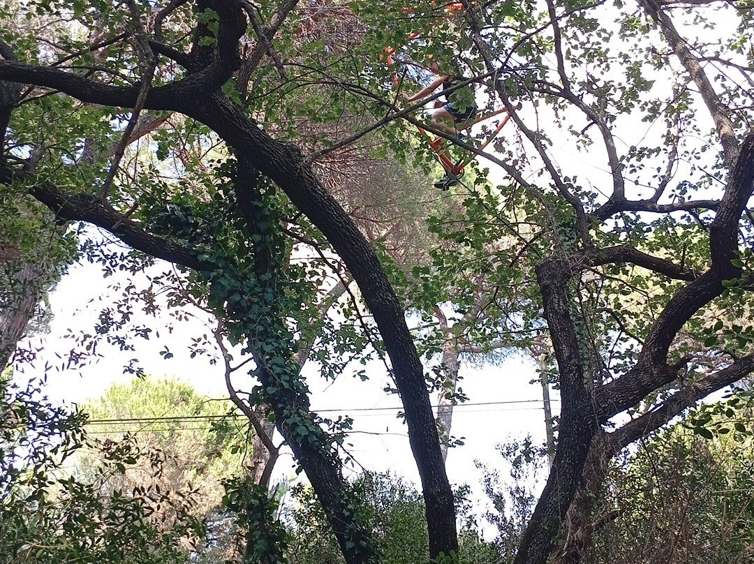 Parco Avventura CieloVerde-Marina di Grosseto必去景点