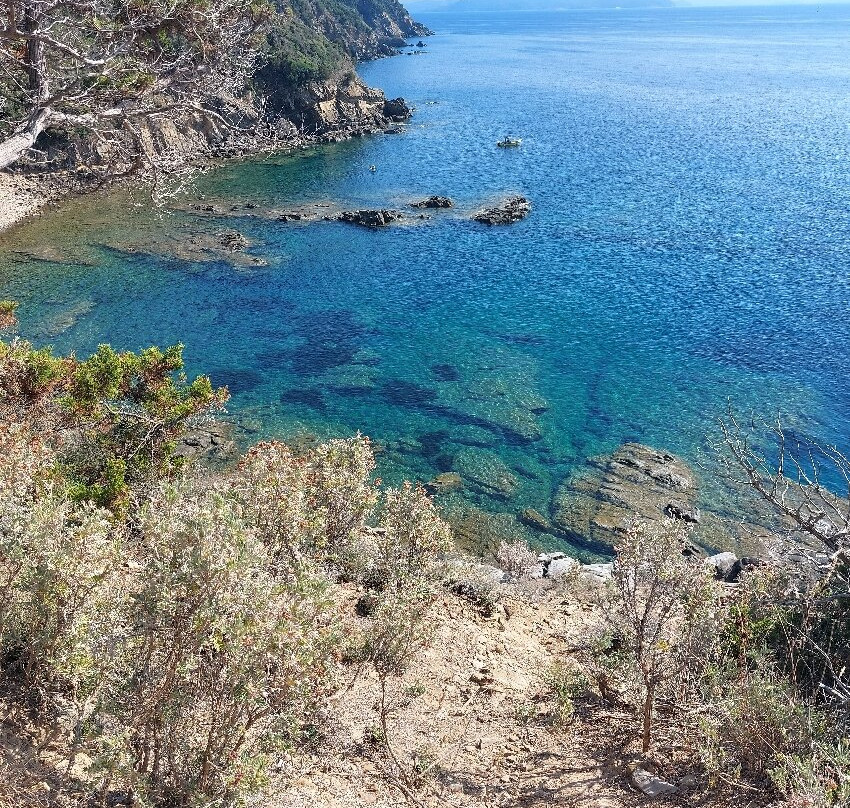 Cala San Quirico-Populonia必去景点