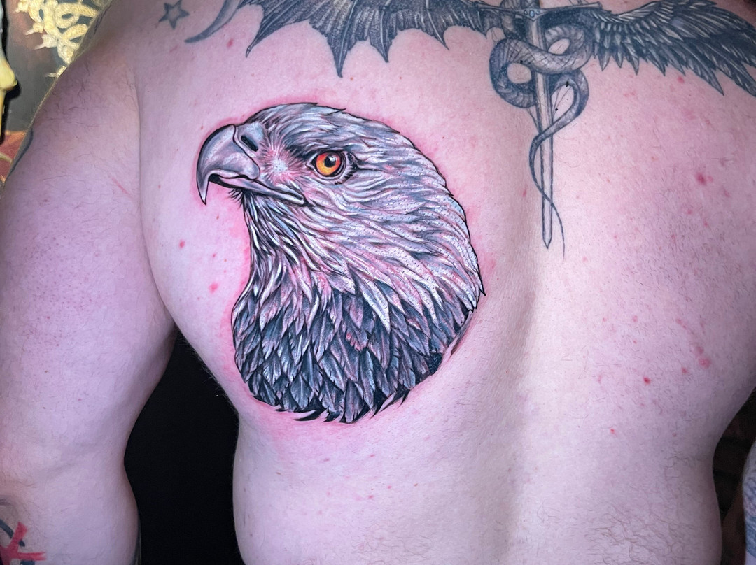 Feniks Tattoo Studio-迪迪姆必去景点