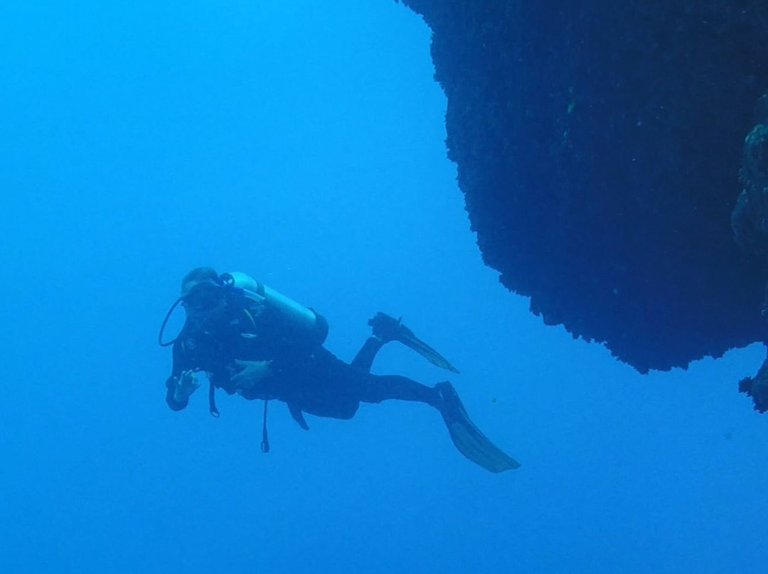 Crystal Divers Mauritius-Bain Boeuf必去景点