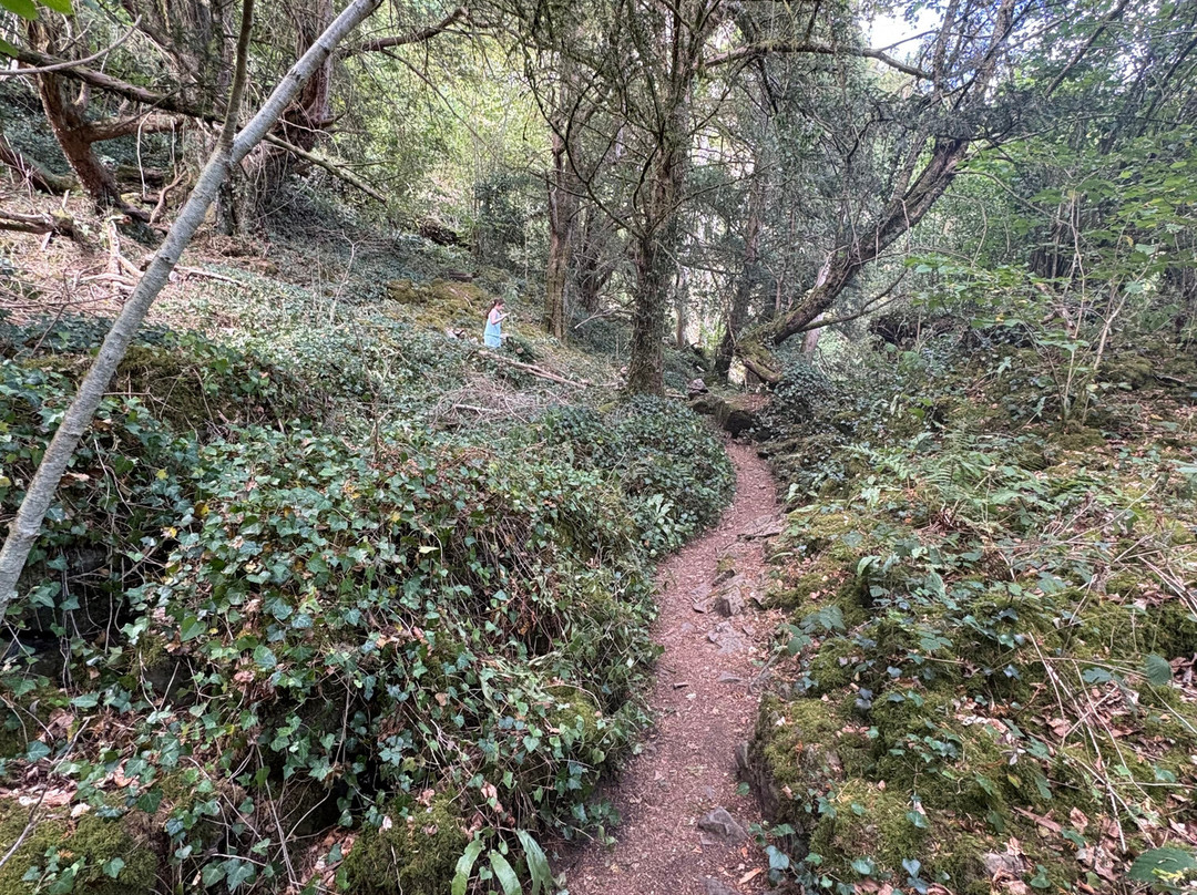 Eagle's Nest-切普斯托必去景点