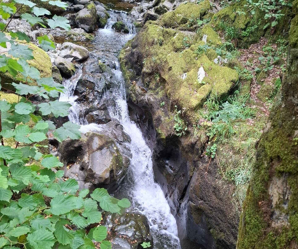 Aira Force Waterfall-彭里斯必去景点