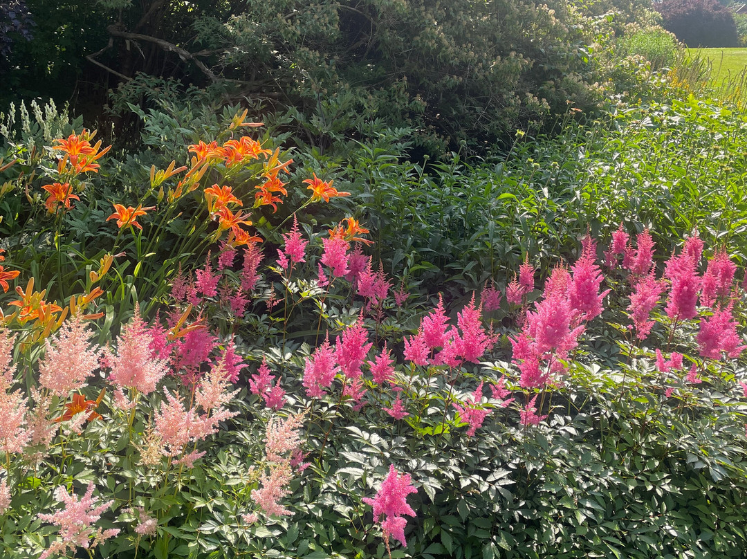 Botanical Garden-奥斯陆必去景点