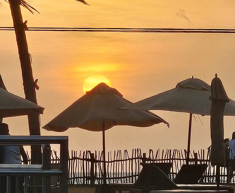 海豚俱乐部酒店主图