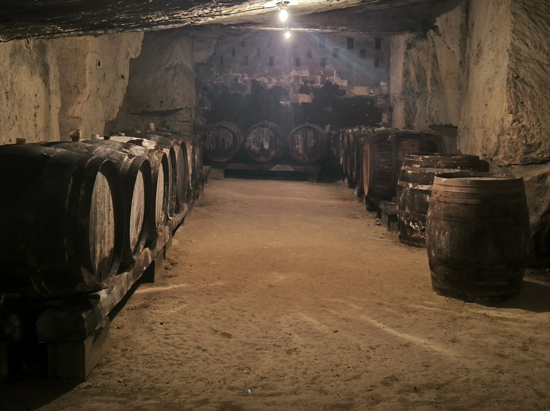 Cave Nathalie et David Drussé-Saint Nicolas de Bourgueil必去景点