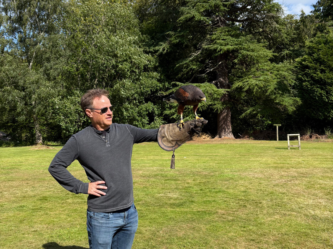 Dalhousie Castle Falconry-邦尼里格必去景点