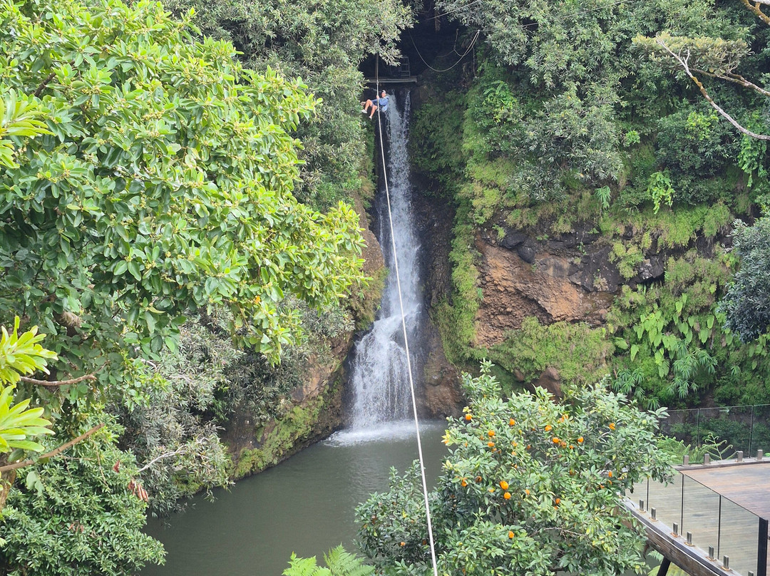 Vallé Advenature Park-Chamouny必去景点