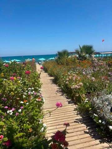 Golden Beach Hotel-旅行者
