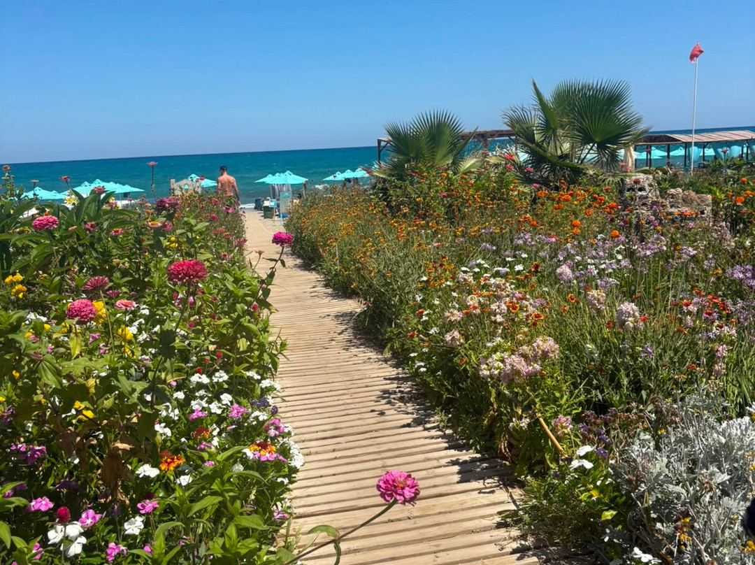 Golden Beach Hotel主图