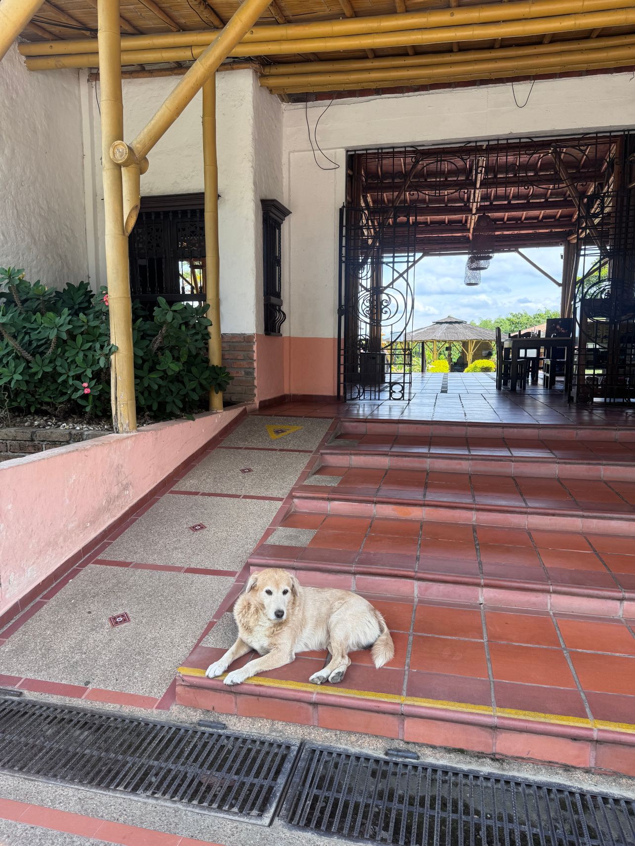 蒙特卡罗卡佩斯瑞酒店-旅行者