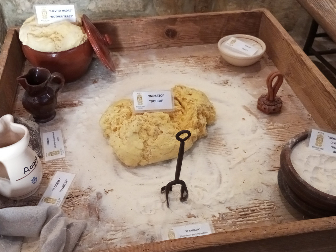 Museo del Pane Forte-阿尔塔穆拉必去景点