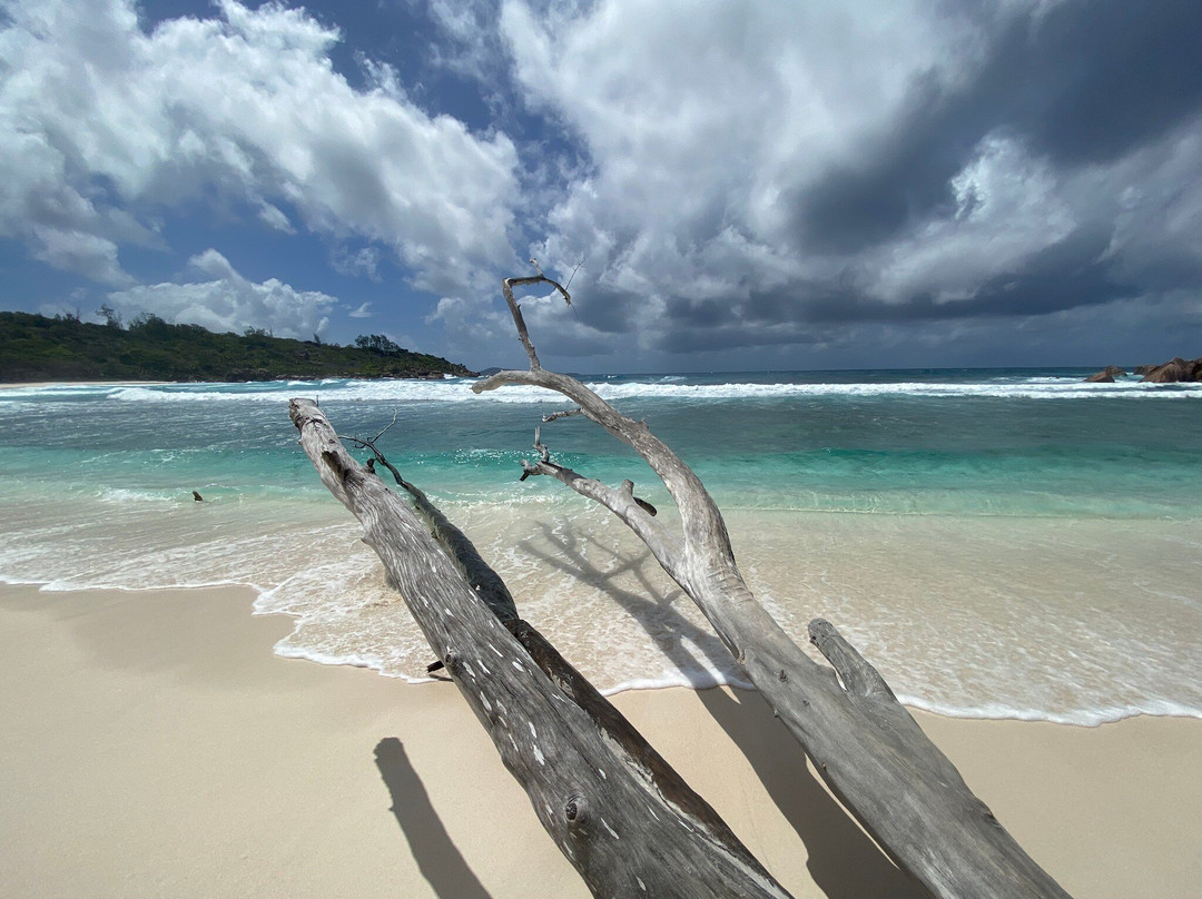 Anse Coco Beach-拉迪格岛必去景点