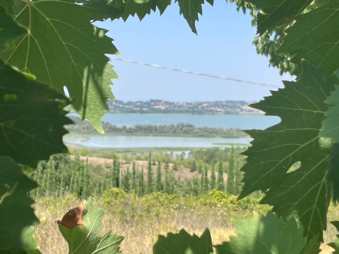 Area sosta camper Il Chiaro
