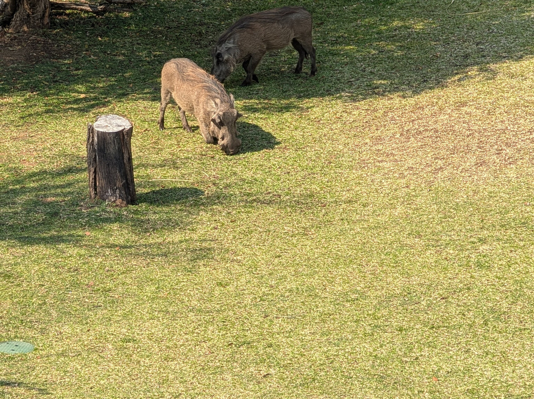 伊拉拉旅馆主图