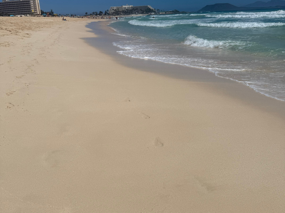 Grandes Playas-科拉雷侯必去景点