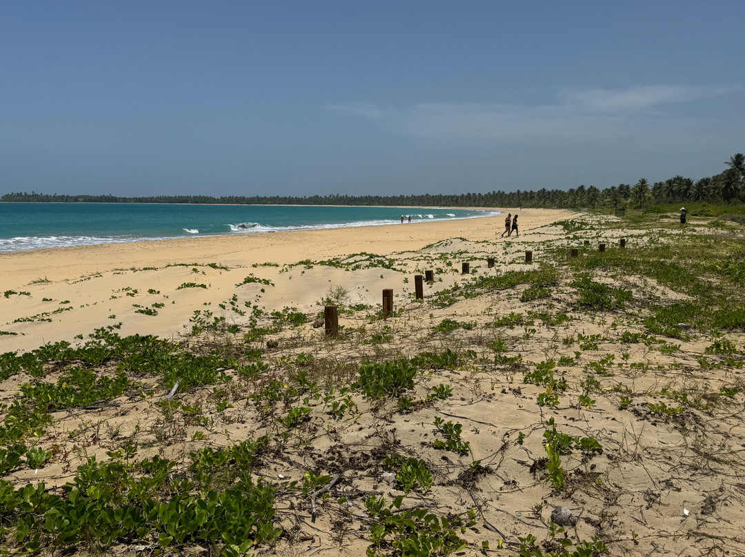 Playa Esmeralda-Miches必去景点