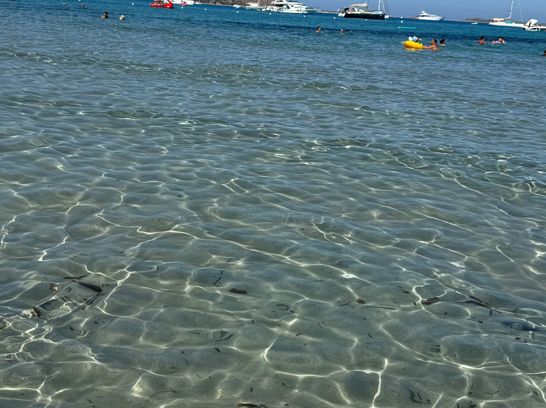 Marina Rey Beach Resort主图