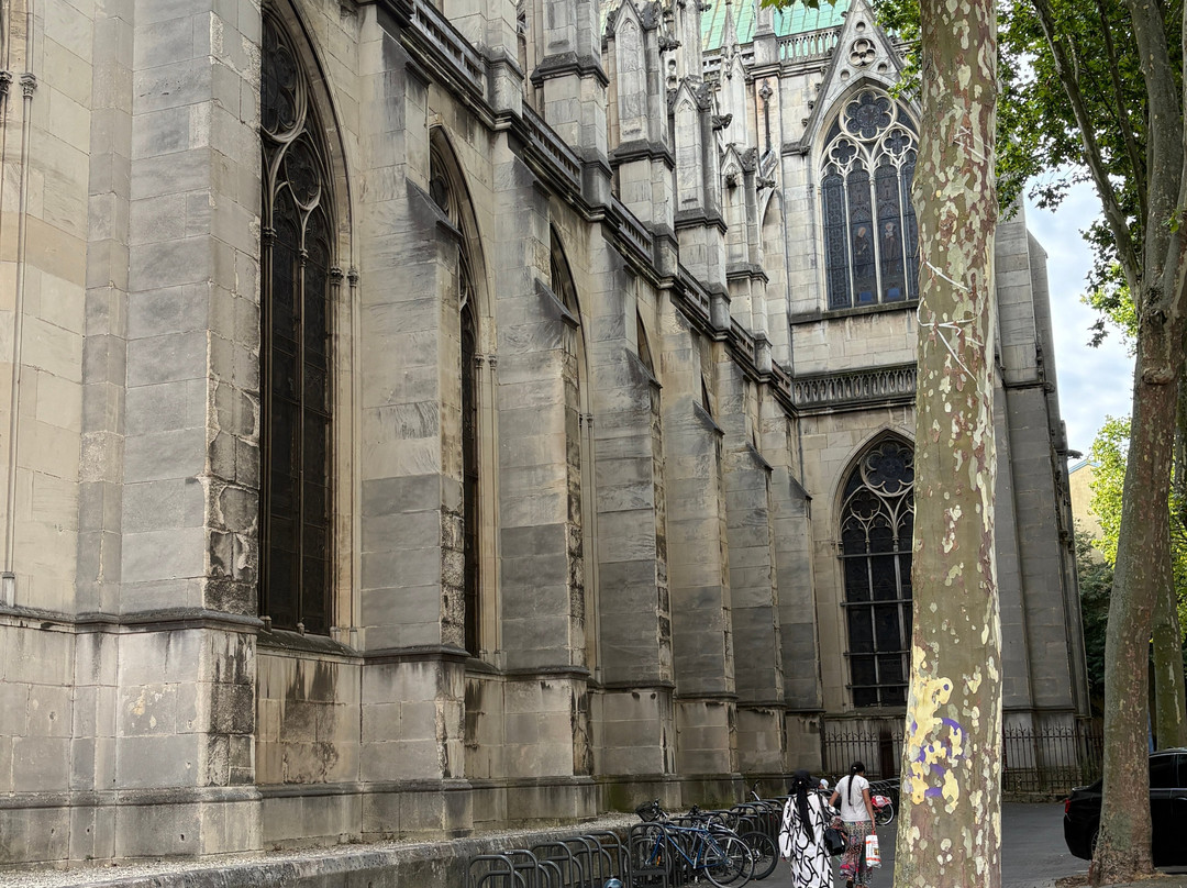 Basilique Saint-Epvre-南锡必去景点