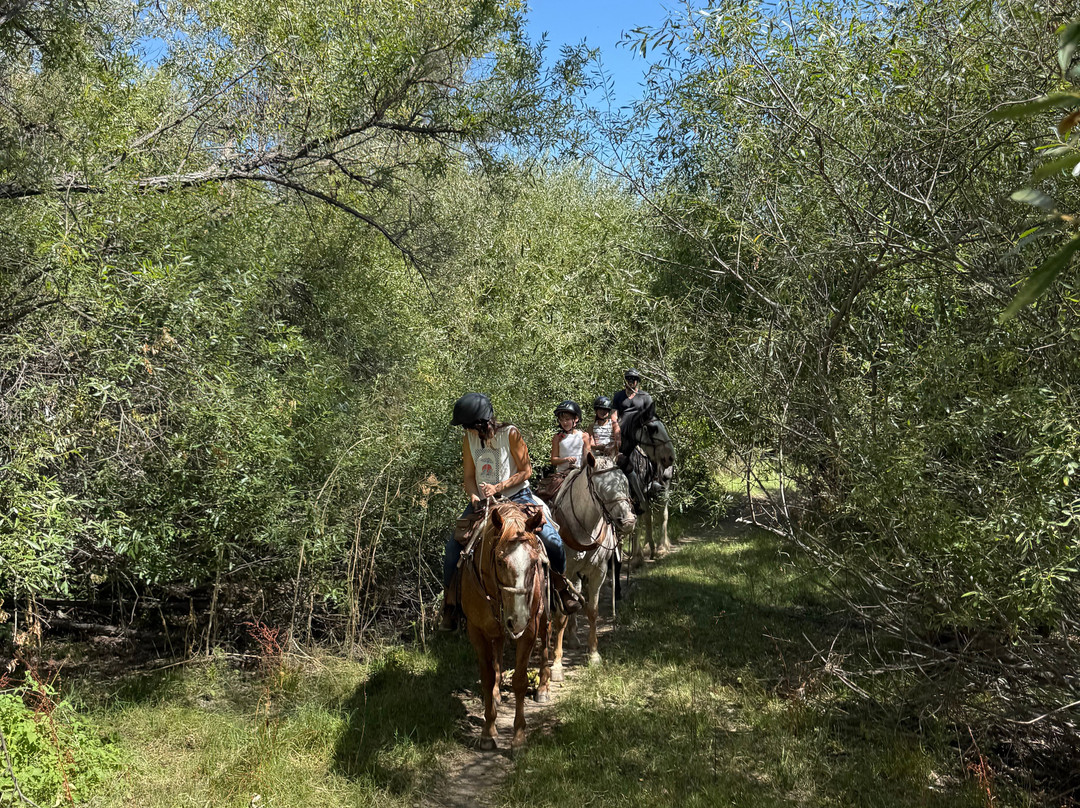 Central Coast Trailrides-帕索罗布尔斯必去景点