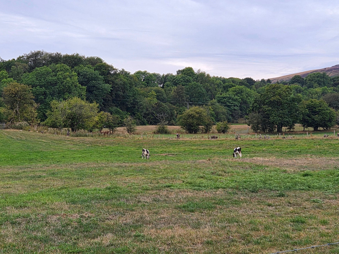 Heatherhill Farm Campsite