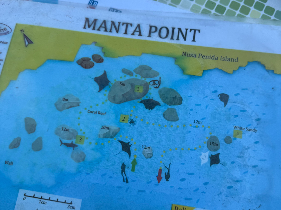DPM Diving Nusa Penida-珀尼达岛必去景点