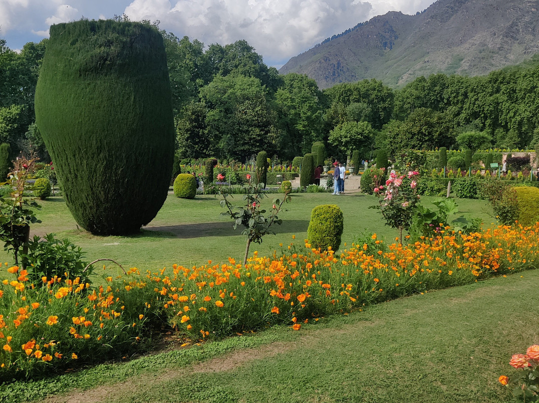 Mughal Gardens-斯利那加必去景点
