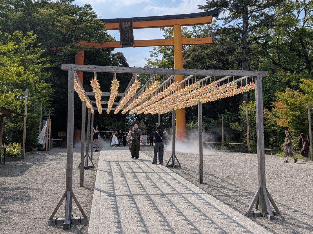 Kawagoe Hikawa Shrine-川越市必去景点