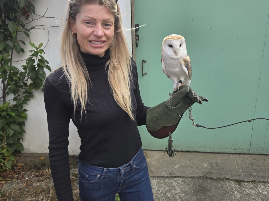 North Devon Hawk Walks-South Molton必去景点
