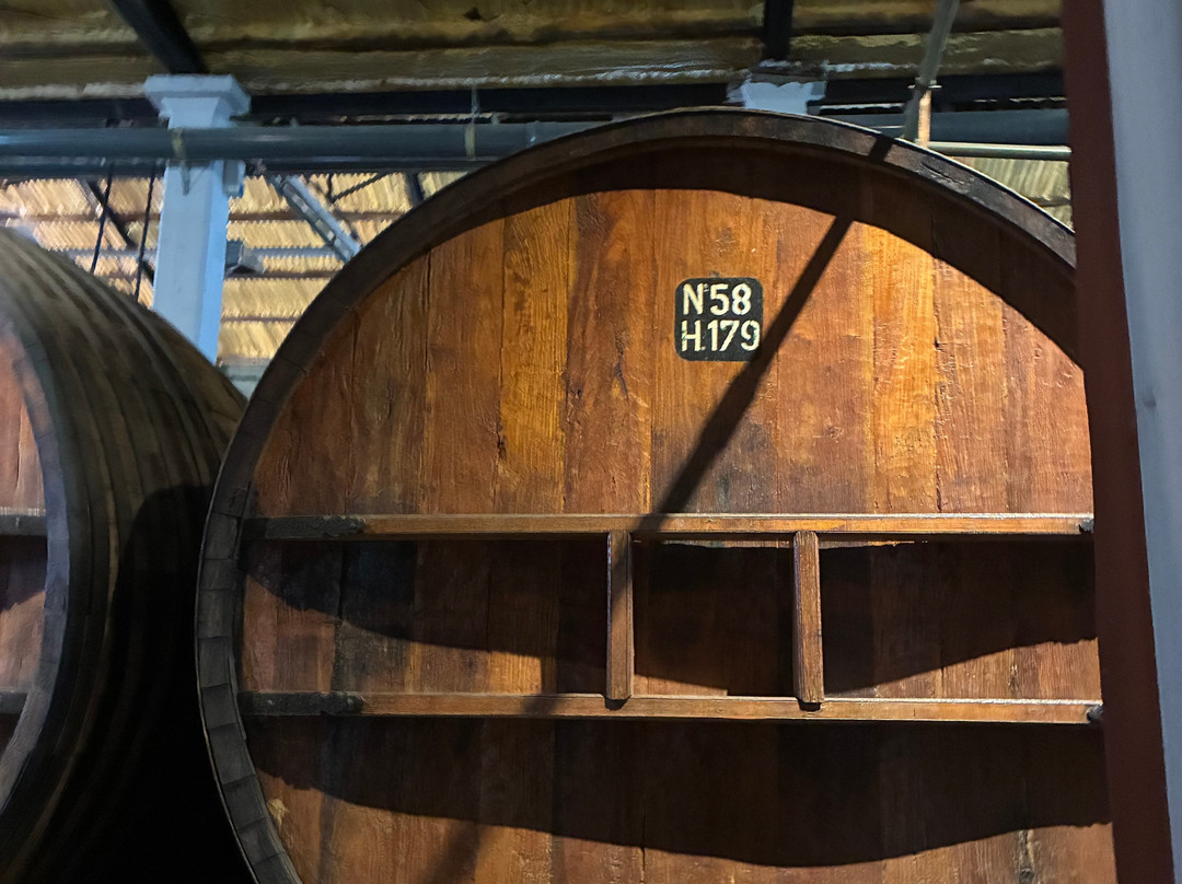 Bodega Alfredo Roca-圣拉斐尔必去景点