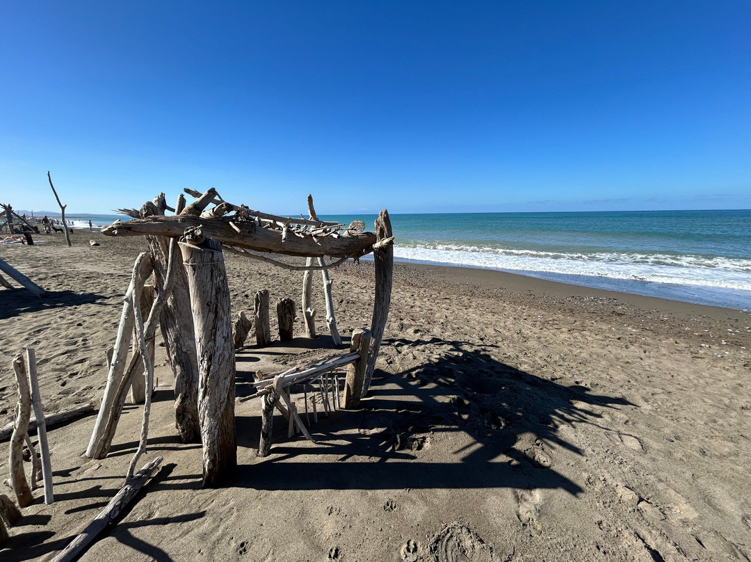 Spiaggia libera di Bibbona