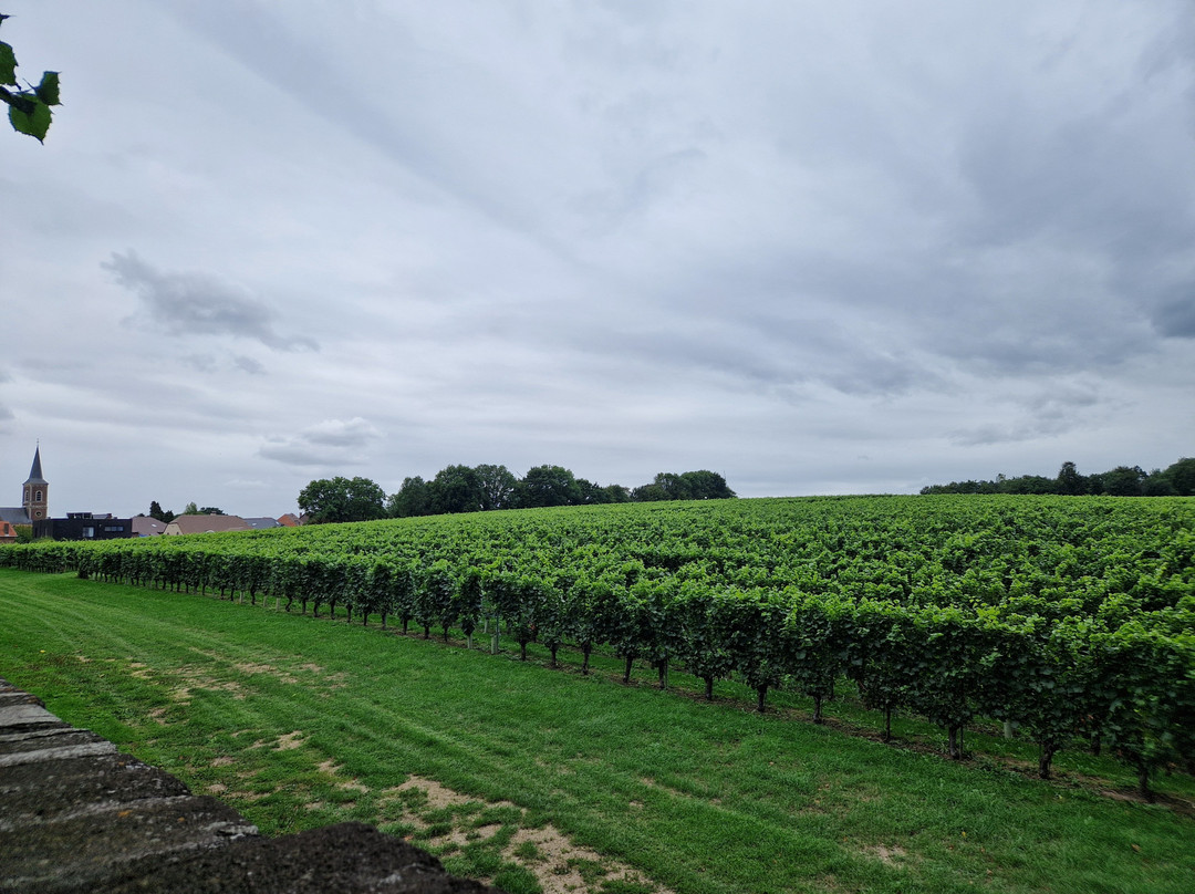 Genoels-Elderen Wine Castle-Riemst必去景点