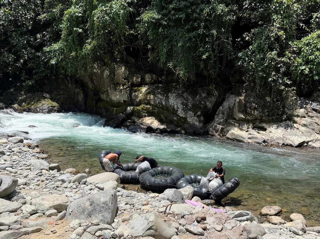 Sumatra Orangutan Explore-武吉拉旺必去景点