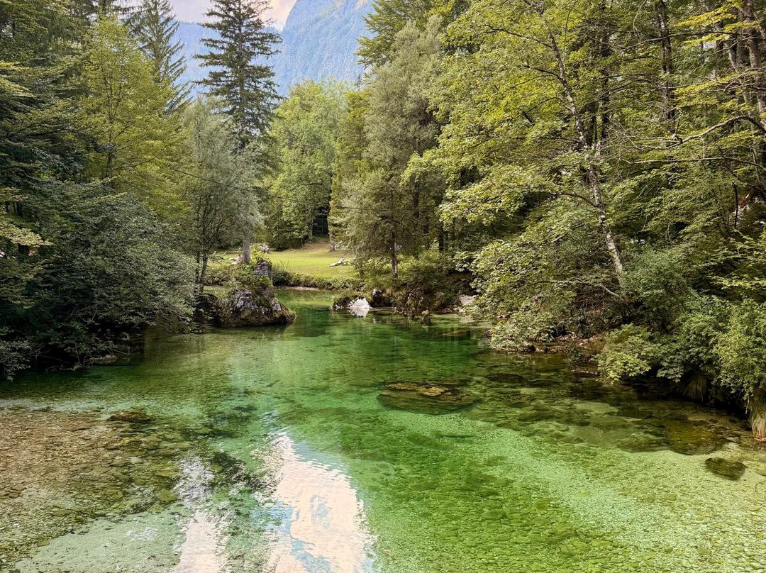 Lake Bohinj-博希尼湖必去景点