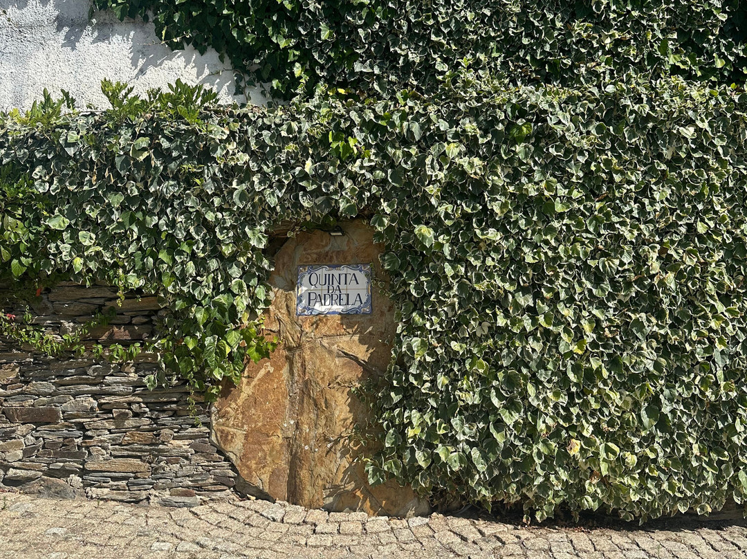 Quinta da Padrela-Tabuaco必去景点