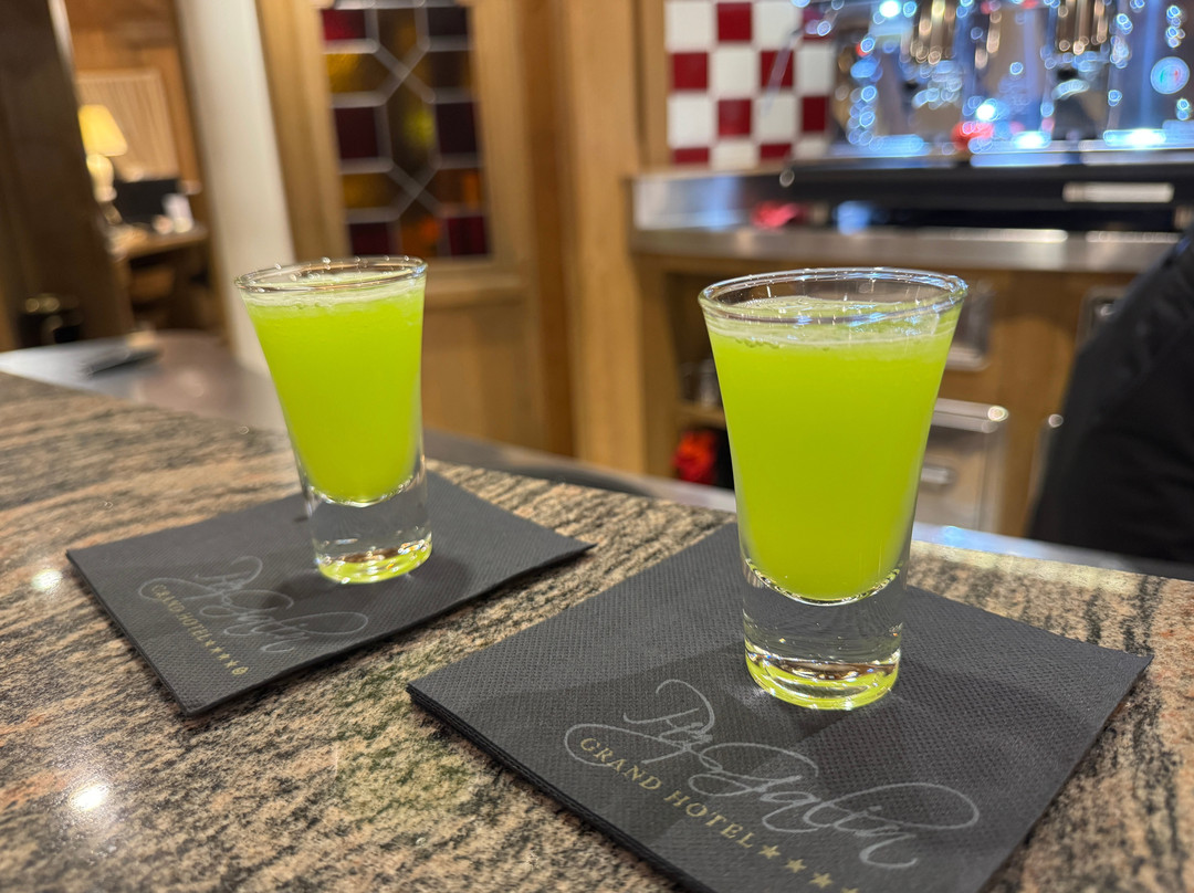 Piz Galin Grand Hotel Family & Wellness主图
