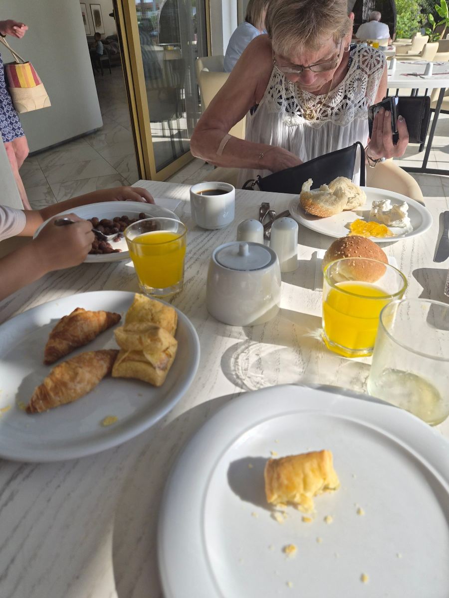 Hanioti Melathron Hotel-旅行者