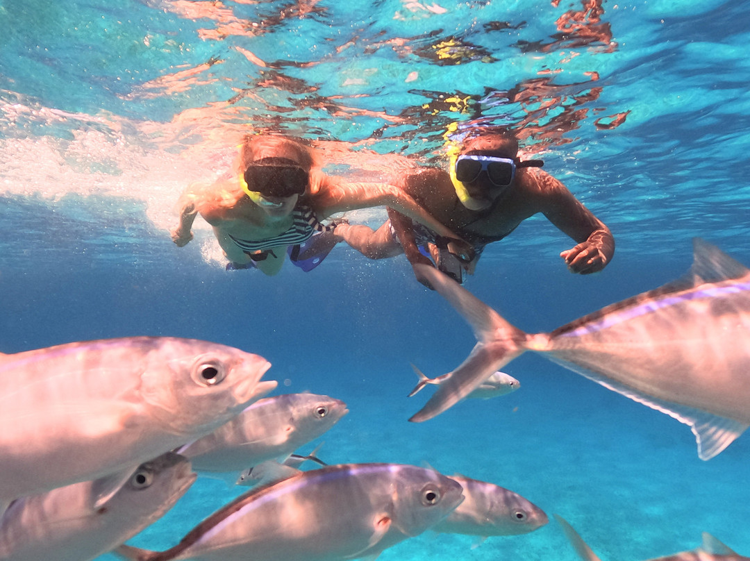 Cozumel Cruise Excursions - Private Tours-考祖梅必去景点