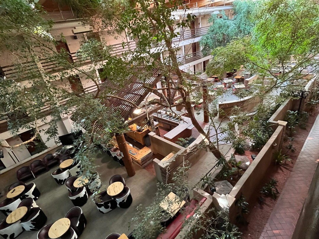 大峡谷广场酒店主图