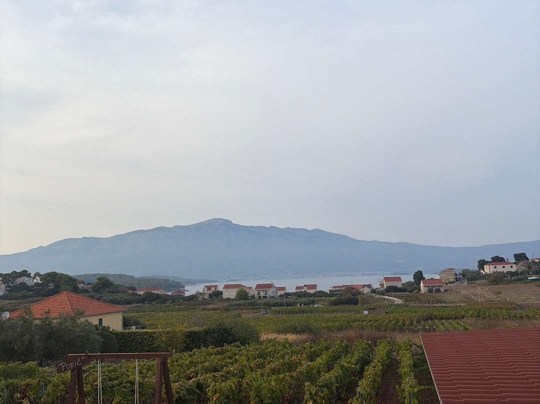 Popic Winery Lumbarda-伦巴达必去景点