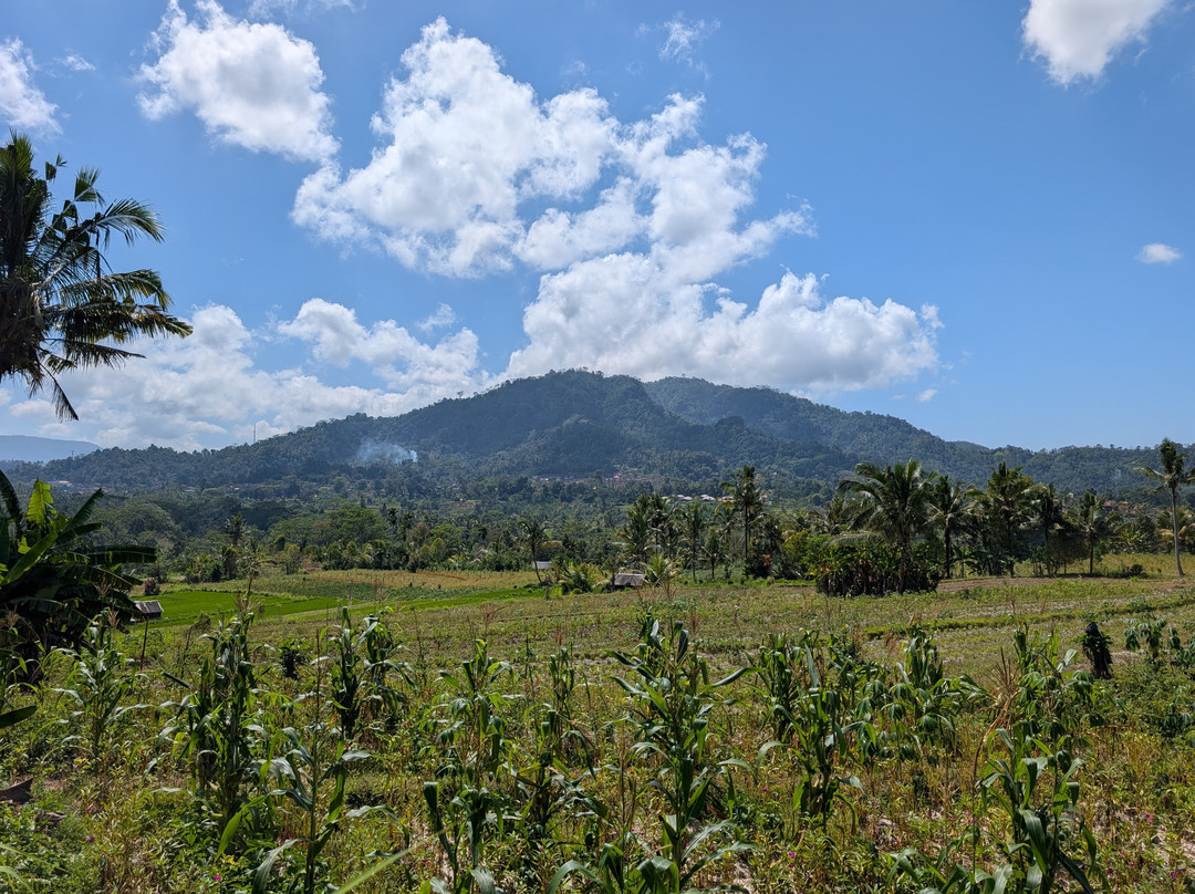 Suweca Bali Tour-南湾必去景点