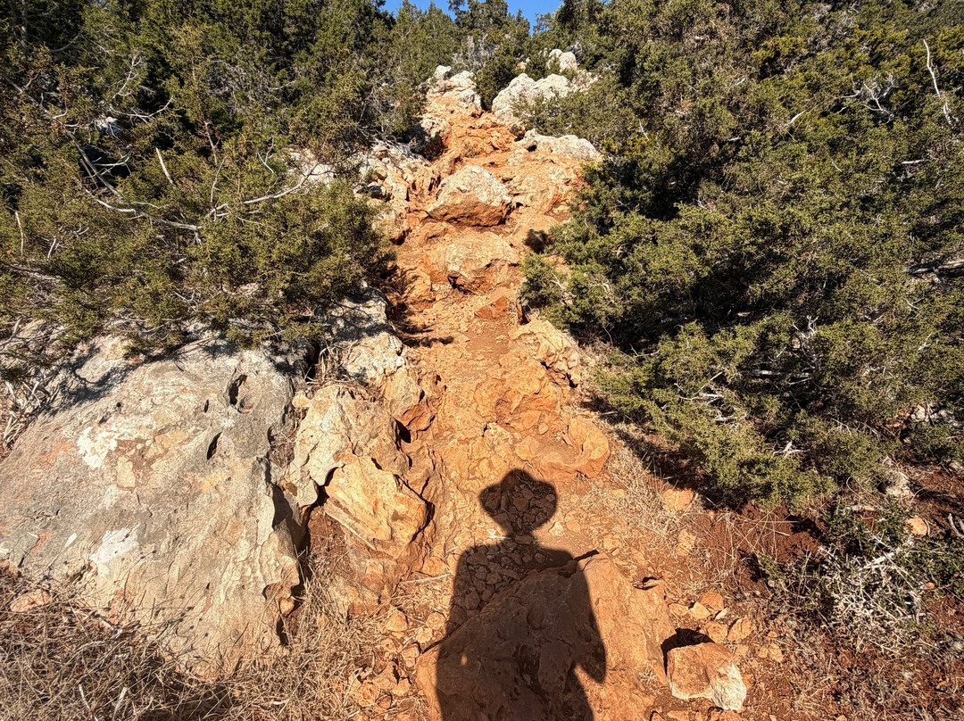 Aphrodite Trail-Latchi必去景点