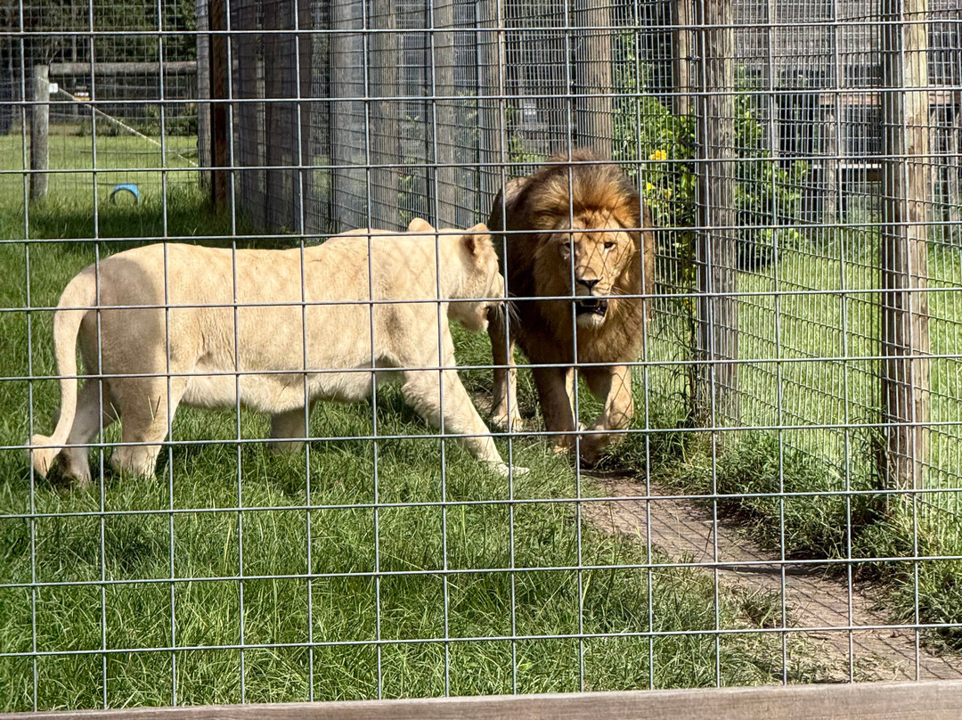 Carson Springs Wildlife Conservation Foundation-盖恩斯维尔必去景点
