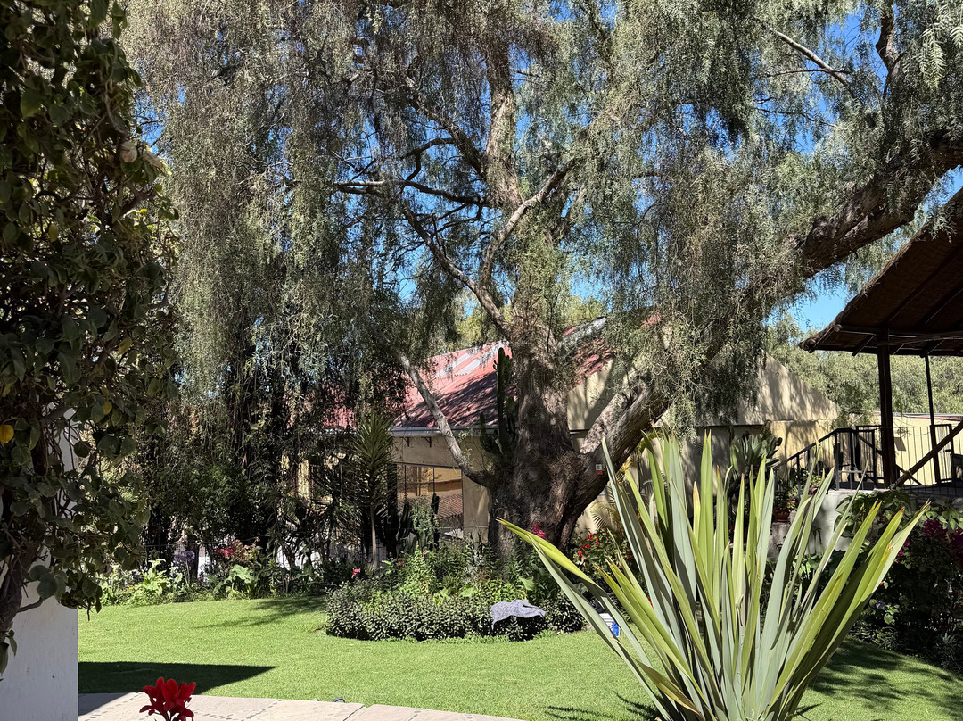 Mundo Alpaca Arequipa-阿雷基帕必去景点