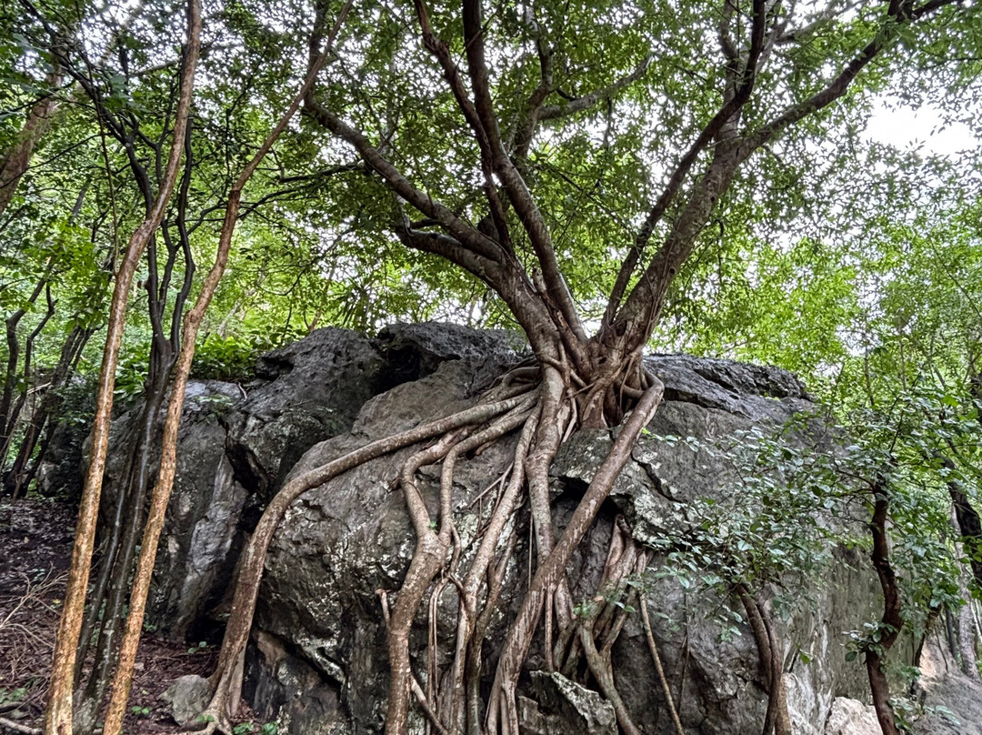 Khao Nang Phanthurat Forest Park-七岩必去景点