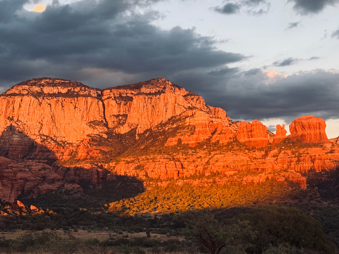 Arizona Safari Jeep Tours-塞多纳必去景点